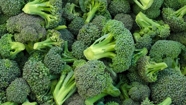 Recognize the Benefits of Broccoli for Gout